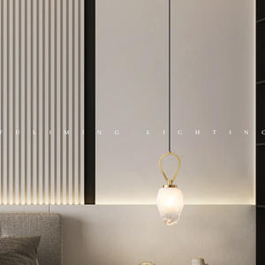 Lampe suspendue à tête unique pour salon, salle à manger, hôtel, chambre à coucher, chambre d'amis, table d'appoint, lampe de chevet, lustre, luminaire suspendu - Product Image 6