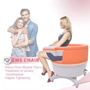 Aparelho terapêutico magnético para uso doméstico beleza equipamentos - Product Image 1