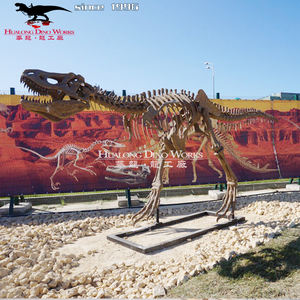 <span class=keywords><strong>Esqueleto</strong></span> de dinosaurio grande para museo, alta calidad, tamaño real - Product Image 3