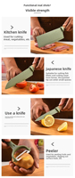 Juego de Cuchillos de Cocina de Acero Inoxidable de 10 Piezas Tc, Cuchillos de Chef, Cuchillos para Frutas, Tijeras de Cocina con Cubeta de Almacenamiento