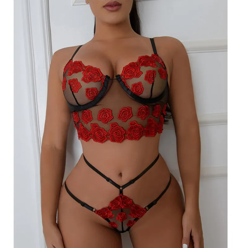 Roupa íntima erótica europa e américa, moda superior, roupa íntima e calcinha de renda, conjunto de sutiã sexy, lingerie para mulheres