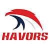 Qingdao Havors Tools Co., Ltd. logo