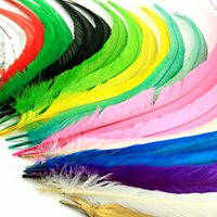 Plumes de queue de coq de haute qualité, teinture naturelle, vente en gros, embellissement de costumes, décoration