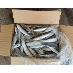 Groothandel Atlantische Horsmakreel Vis Horsmakreel Makreel Grote Oog Makreel Vis Voor Export - Product Image 1
