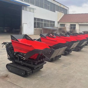Oferta Especial: Carretilla de Ruedas China de 300kg/500kg / Rueda para Camión Volquete de Jardín / Plataforma Delantera con Tracción por Orugas - Product Image 6