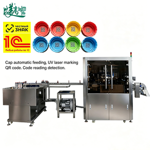 Automatic UV <b>Laser</b> Marking <b>All</b>-<b>in</b>-<b>One</b> Machine with Feeding Sorting Vision Inspection & Auto Rejection for Plastic Bottle Caps - Product Image 6