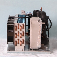 Compresseur de refroidissement H250 pour micro-refroidisseur d'eau, unité de condensation pour aquarium R134a 12V/24V