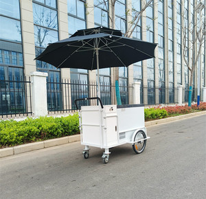 Tricycle de livraison électrique mobile d'extérieur avec congélateur pour la vente de crème glacée - Product Image 6