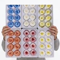 Fleurs séchées préservées en gros, pétales de fleurs ronds faits à la main de 5-6 cm pour la décoration de mariage, de la Saint-Valentin et de la fête des mères