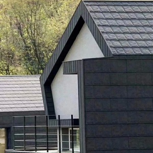 Tuiles modernes pour bâtiment Tuile Solaire Tuiles solaires - Product Image 1
