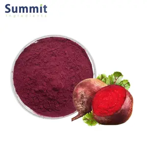 Hot Sale Red Beet Powder Beet Root Powder Beet Powder