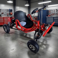 Go Kart Deportivo para Adultos y Adolescentes, con Tracción de Cadena, Motor de Gasolina de 4 Tiempos, para Parques de Diversiones