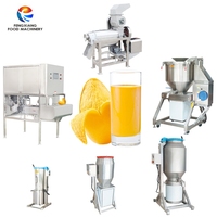 Industriële Elektromotor Machine Voor Vruchtensap Mango Appel Oranje Pulp Machine Rond Fruit Schillen Villen Machine