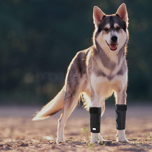 الجملة الكلب الناب الجبهة الساق BraceDog دعامة لف الركبة دعم مع يحمي الجروح هدفين يشفي ويمنع إصابات - Product Image 3
