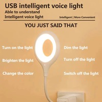 Lampe de chevet intelligente USB à commande vocale, style TikTok, mini, universelle, sans fil, pour l'international