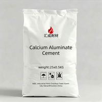 Ciment aluminate réfractaire résistant à la chaleur, matière première pour coulis à haute réfractarité
