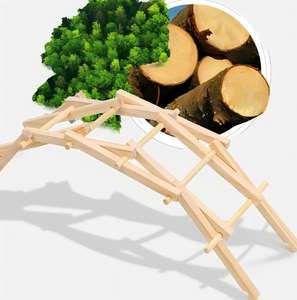 ของเล่นเพื่อการศึกษาสำหรับเด็กวัยหัดเดิน<span class=keywords><strong>โครงงานวิทยาศาสตร์</strong></span>สะพานโค้งหินแบบ DIY สำหรับนักเรียนอนุบาลทำด้วยไม้ - Product Image 5