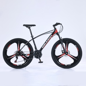 Vélo de montagne personnalisé de 26 <span class=keywords><strong>pouces</strong></span> avec frein à disque double, vitesse variable, vélo de cross-country pour hommes et femmes - Product Image 4