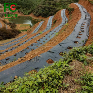 Màng phủ và nhựa phủ như lớp phủ đất nhựa tăng cường độ ẩm của đất cho cây rau - Product Image 3