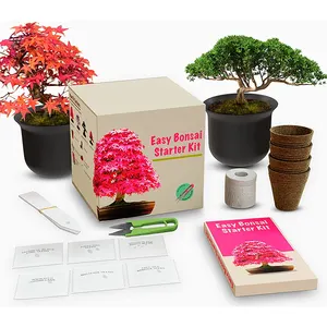 Kit de iniciación fácil para arce japonés, pino negro, Wisteria, Judas, árbol, bonsái para el hogar o el jardín, juego de regalo de plantas de cultivo Natural - Product Image 1