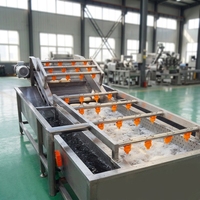 Machine à laver les fruits et légumes à bulles en acier inoxydable contrôlée par PLC avec pompe et moteur - Vente chaude KR