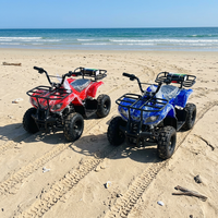 Kart Parent-Enfant Leduole à Grandes Roues pour Sable, Voiturette de Plage en Fibre de Verre, Capacité <150kg, Simulation de Rotation à 360 Degrés