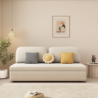 Nordisches Modulares Sofa-Set Ausziehbares Schlafsofa Hochdichter Schwamm Flanell Elastisches Bürosofa Modernes Klappbares Dreisitzer-Sofa