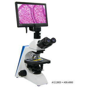 <span class=keywords><strong>Microscope</strong></span> <span class=keywords><strong>optique</strong></span> biologique binoculaire pour laboratoire hospitalier - Product Image 4