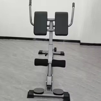 TOPTONS Home Fitness Chaise Romaine Fitness Machine Utilisation de la santé Installation Extension du dos Banc d'exercice