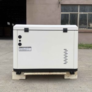 220V-240V 50hz 8kw住宅用LPG NGパワーデュアル燃料ガス発生器 - Product Image 3