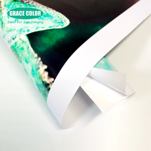 Self Adhesive <strong>Removable</strong> PVC Sticker Printing <strong>Vinyl</strong> - Product Image 3