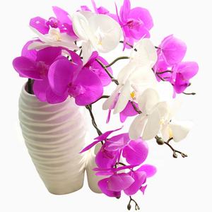 W-1012 Décoration Cadeau au Toucher Réel Orchidées <span class=keywords><strong>Vanda</strong></span> Artificielles de Haute Qualité Pots Fleurs en Plastique Transparent - Product Image 4