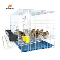 Système de cages d'élevage de volailles modulaires compactes en plastique pour la production d'œufs de cailles et de perdrix dans les fermes commerciales