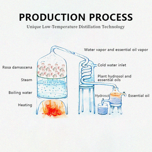 Hydrolat <span class=keywords><strong>de</strong></span> <span class=keywords><strong>rose</strong></span> <span class=keywords><strong>de</strong></span> <span class=keywords><strong>Damas</strong></span> distillé à la vapeur, <span class=keywords><strong>eau</strong></span> <span class=keywords><strong>de</strong></span> <span class=keywords><strong>rose</strong></span> pure, brume pour apaiser les peaux sensibles - Product Image 6