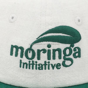 कम प्रोफ़ाइल सन कपड़े पिताजी टोपी कस्टम कढ़ाई सादे पिताजी टोपी 6 पैनल बेसबॉल टोपी - Product Image 4