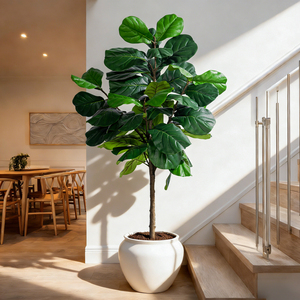 Árbol de Ficus Artificial Detallado en Maceta con Tronco de Plástico para Proyectos de Diseño de Interiores y Vestíbulos - Product Image 1