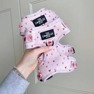 Aksesori Hewan Peliharaan Logo Kustom dan Desain Kalung <span class=keywords><strong>Harness</strong></span> Tali Anjing Kucing Anak Anjing Kecil dengan Cincin D - Product Image 2