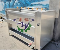 Nieuwe automatische fruit- en groentewasmachine met borstel voor aardappelen, gember, wortelen, zeevruchten etc.