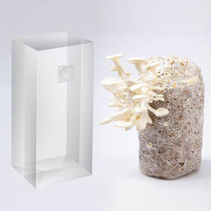 ถุงเพาะเห็ด PP ความหนาแน่นสูง Satrise พร้อมแผ่นกรองขนาด 0.2/0.5 ไมครอน ปรับแต่งได้ ทนต่อการฆ่าเชื้อด้วยหม้อนึ่งความดัน - Product Image 1