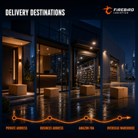 Firebird B2B International, agent de fret aérien express porte-à-porte le moins cher, DHL UPS FedEx de Chine vers l'UE, le Royaume-Uni, GB, service logistique
