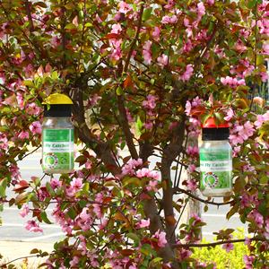 Piège à insectes Haierc de haute qualité pour usage extérieur, piège à mouches, piège à mouches à la bouteille - Product Image 3