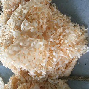 <span class=keywords><strong>Filet</strong></span> <span class=keywords><strong>de</strong></span> <span class=keywords><strong>camouflage</strong></span> <span class=keywords><strong>couleur</strong></span> <span class=keywords><strong>sable</strong></span>, <span class=keywords><strong>filet</strong></span> <span class=keywords><strong>de</strong></span> <span class=keywords><strong>camouflage</strong></span> désertique brun pour la chasse et le <span class=keywords><strong>camouflage</strong></span> en extérieur - Product Image 1