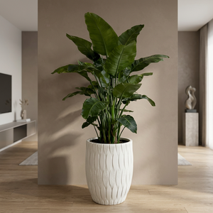Macetero Moderno de PP Ecológico de Lujo para Decoración del Hogar y Jardín, Uso en Interiores/Exteriores - Product Image 3