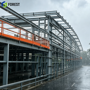 Seismic Resistant Prefabricated Steel Structure Warehouse Space Frame Commercial Complex Manufacturer - Product Image 1