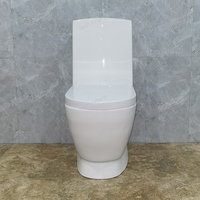 Ensemble WC monobloc en céramique pour salle de bain, design Dragon Doré, avec chasse d'eau, siphon en P et siphon en S