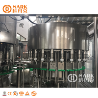 Équipement d'embouteillage de machine de fabrication d'eau potable minérale de 750ml à vendre