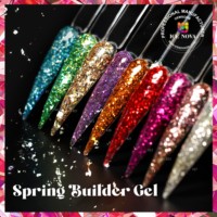 Fournisseur d'ongles BD Spring Builder Gel dur réfléchissant sans Hema/TPO constructeur d'extension de marque privée pour ongles propre Logo Gel vernis