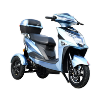 Vente chaude 1000W Tricycle électrique 60V/72V longue durée de vie de la batterie fonction antidérapante pratique combat facilement les pentes de 45 degrés Ebike