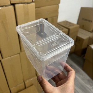 Portable Tarantula Terrarium Spider <strong>Box</strong> Breathable Holes Reptile Breeding <strong>Box</strong> for Small Animals and <strong>Bugs</strong> - Product Image 3