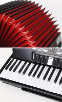 YW827 perroquet clavier accodions, 41Key 120 Basse 3 chorus clavier accordéon